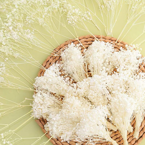 6000+ Ivory White Dried Babys Breath Flowers Bouquet 100Pcs Mini Real 100% Natural Gypsophila Bulk for Christmas Tree Decorations DIY Crafts Wedding Decor Invitations Candle Making