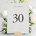 Elegant Self-Standing Table Numbers 1-30 with Head Table Card